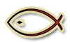 Biserica Icoanei